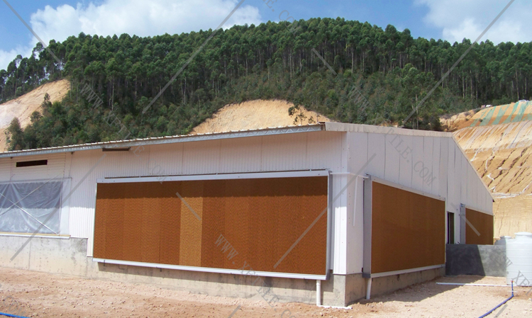 還在為廠房的墻體煩惱嗎？使用星發(fā)優(yōu)質(zhì)墻體廠房塑料瓦