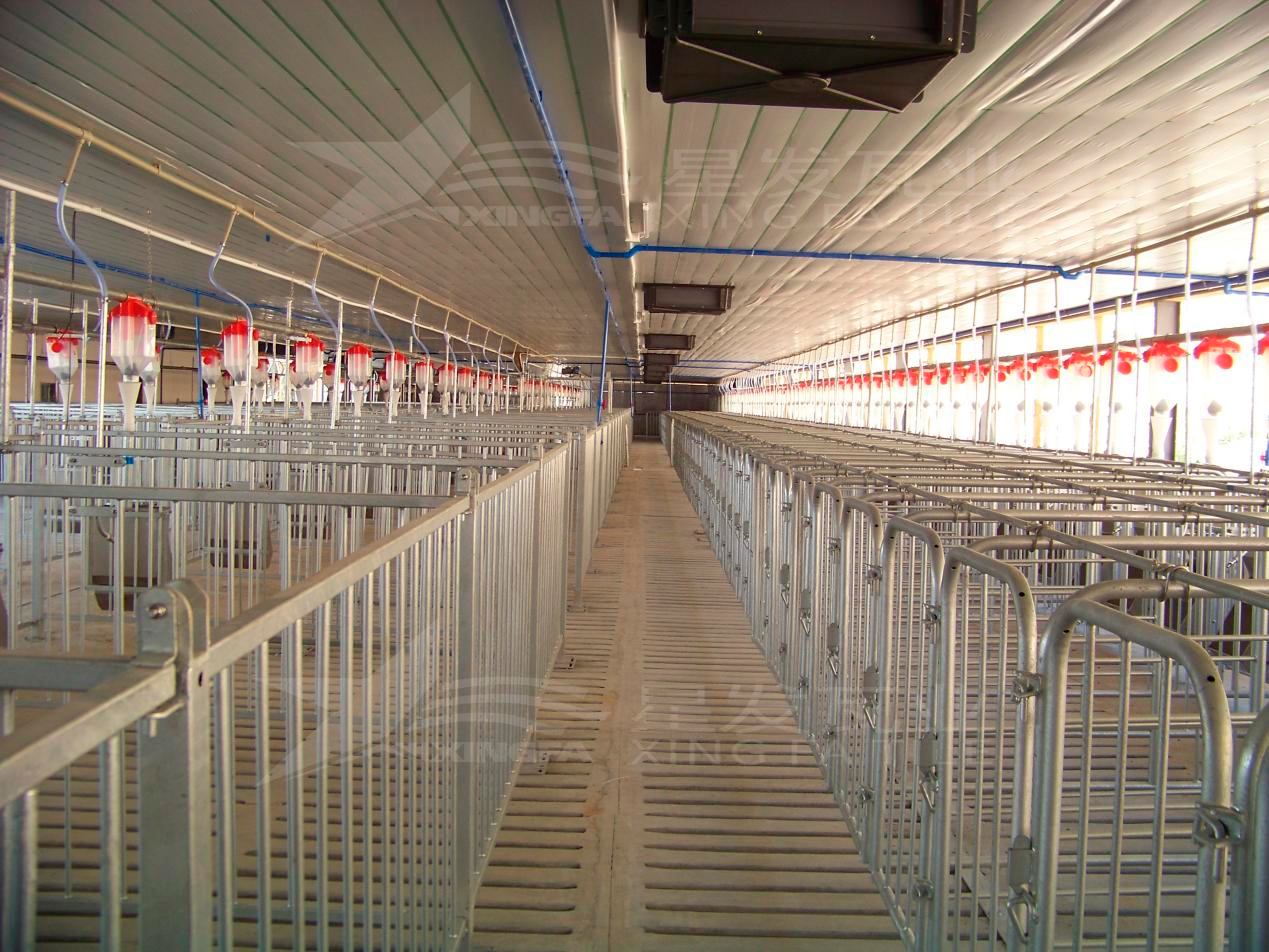 高溫來襲，養(yǎng)殖場(chǎng)安裝樹脂瓦，為小動(dòng)物營(yíng)造避暑勝地