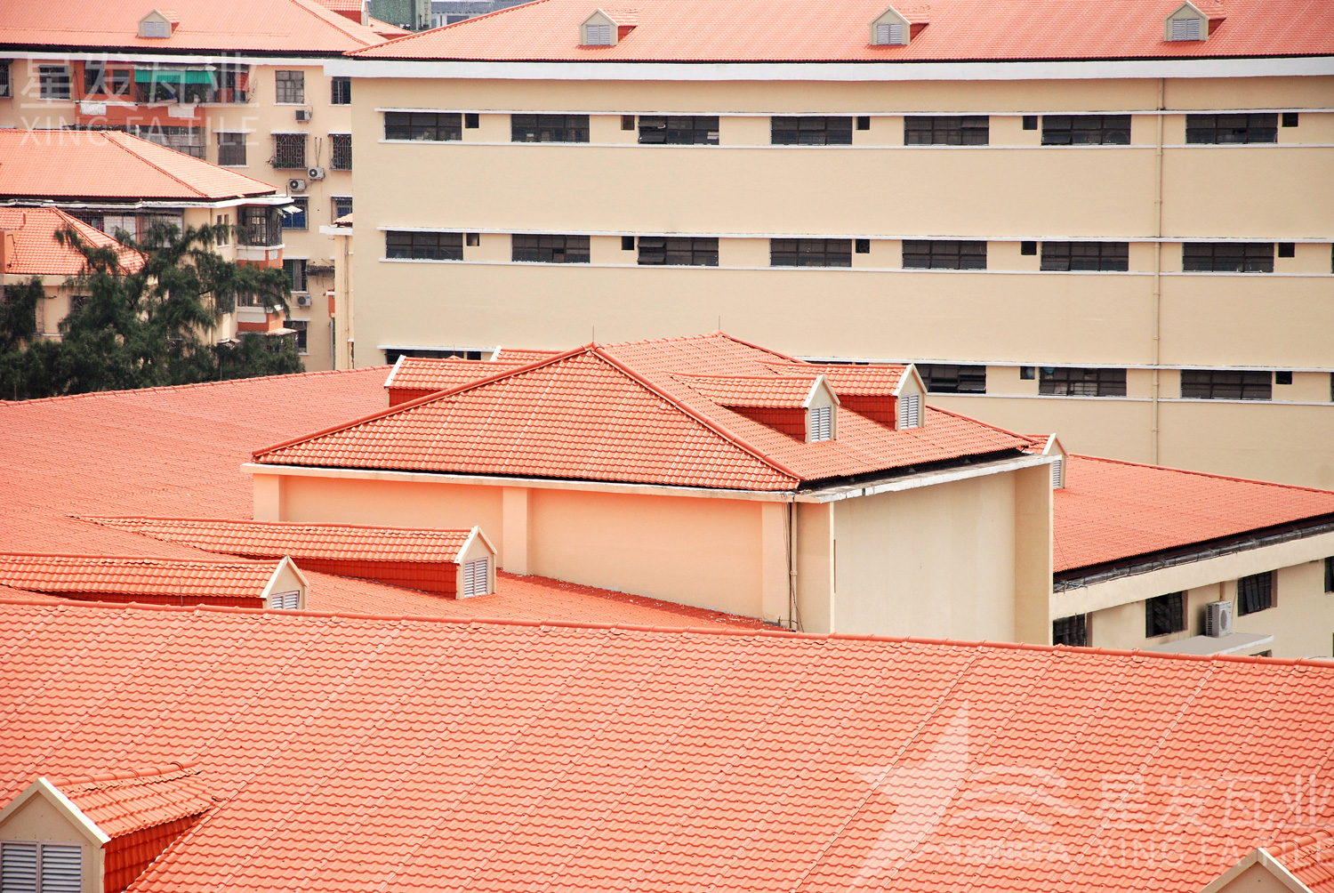 “平改坡”工程的明星選擇：合成樹脂瓦的突出優(yōu)勢(shì)揭秘